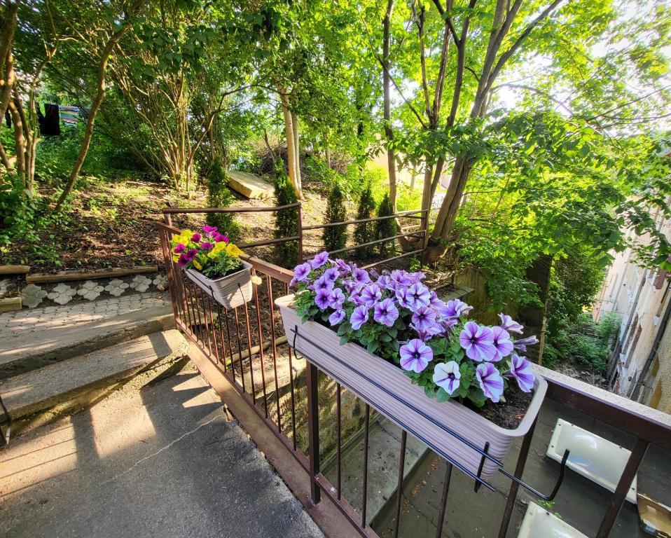 Excellent Apartments In Spa City Center 5 Min Walk From The Colonnade Karlowe Wary Zewnętrze zdjęcie
