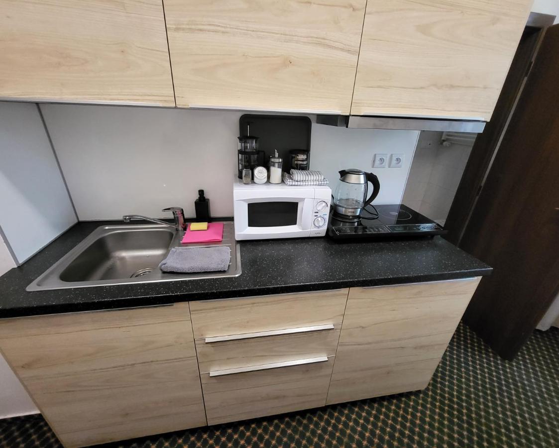 Excellent Apartments In Spa City Center 5 Min Walk From The Colonnade Karlowe Wary Zewnętrze zdjęcie
